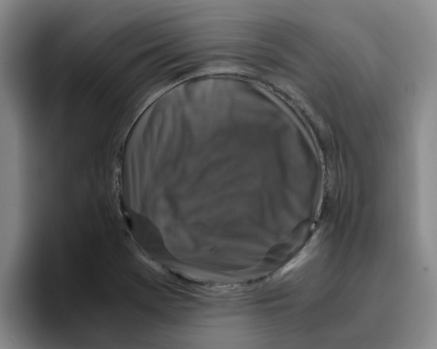 X0000096161369200802151406