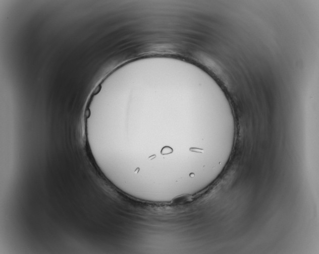 X0000096161370200802151406