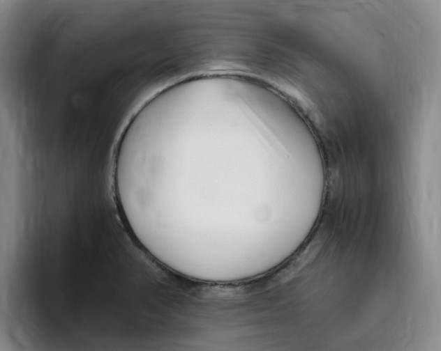 X0000096161374200802151406