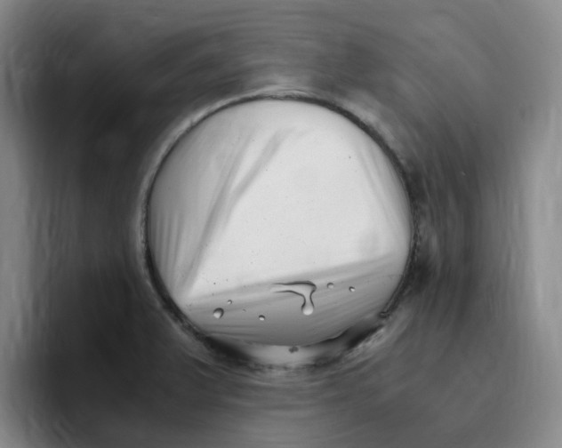 X0000096161375200802151406