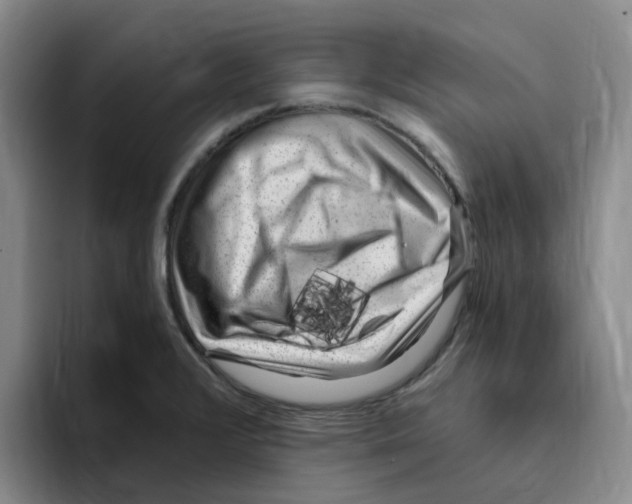 X0000096161376200802151406