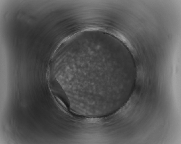 X0000096161377200802151406