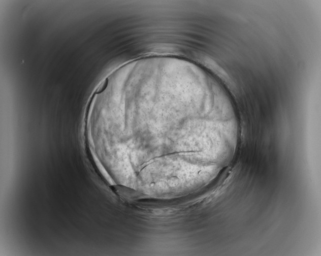 X0000096161378200802151406