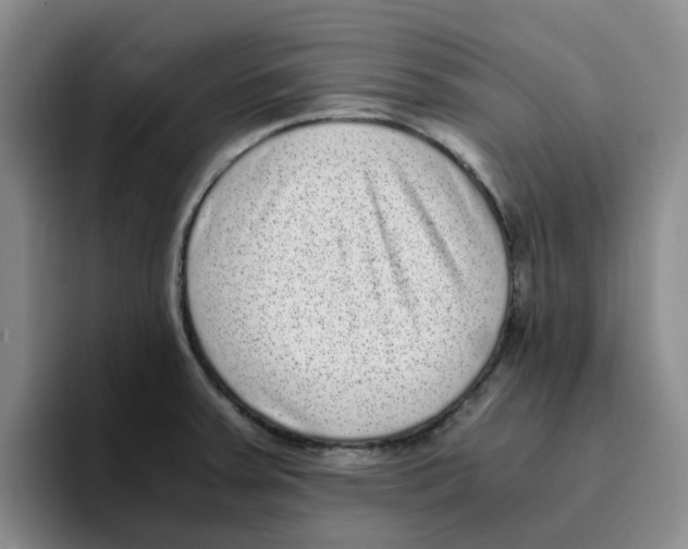 X0000096161379200802151406