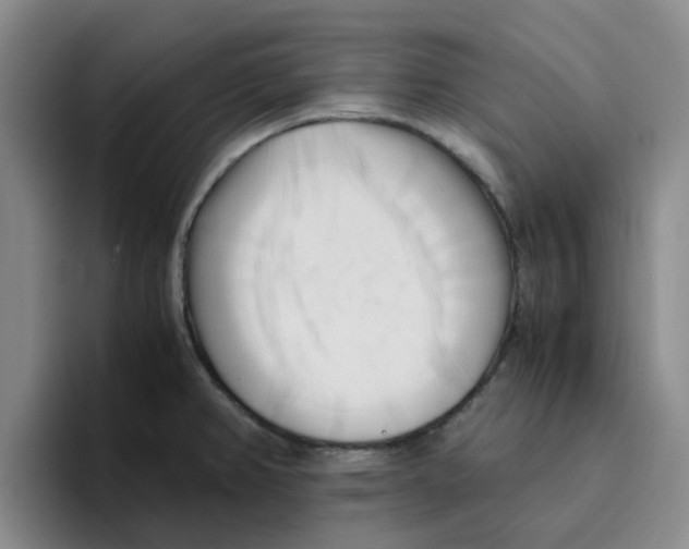 X0000096161382200802151406