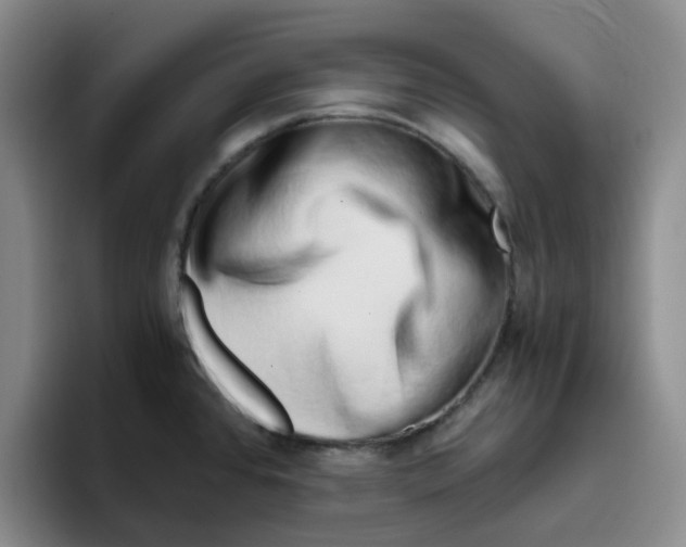 X0000096161384200802151406