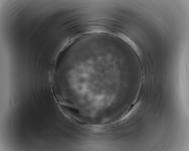 X0000096161385200802151406