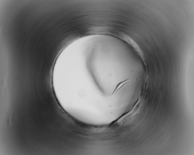 X0000096161386200802151406