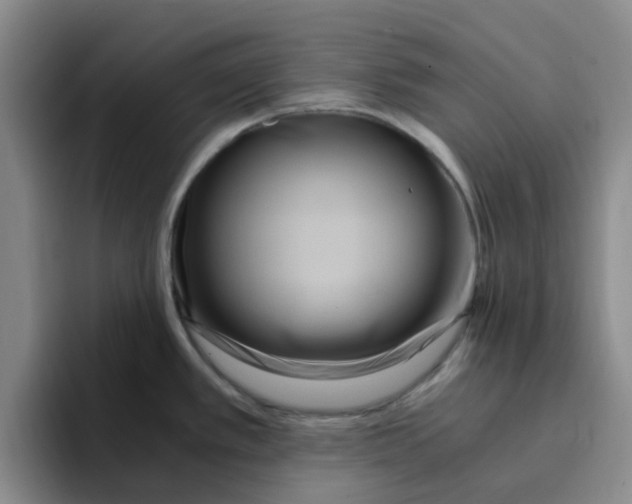 X0000096161389200802151406