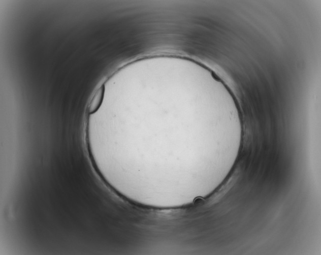 X0000096161390200802151406