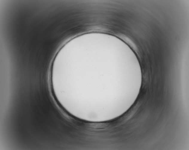 X0000096161391200802151406