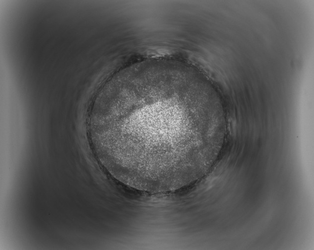 X0000096161393200802151405