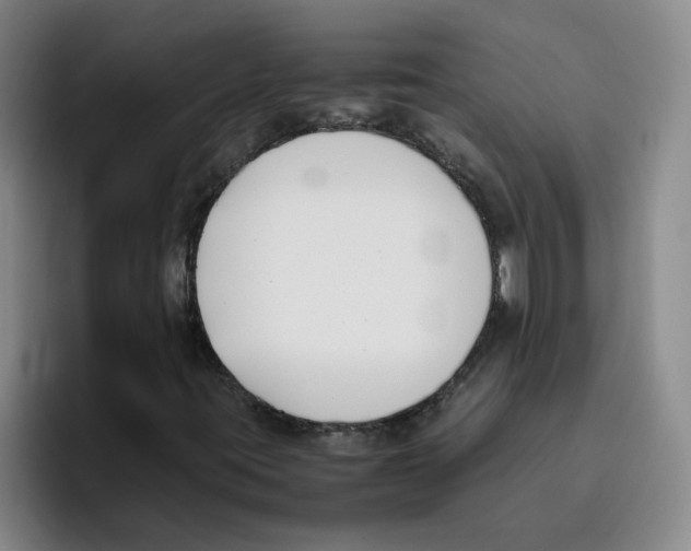 X0000096161395200802151405