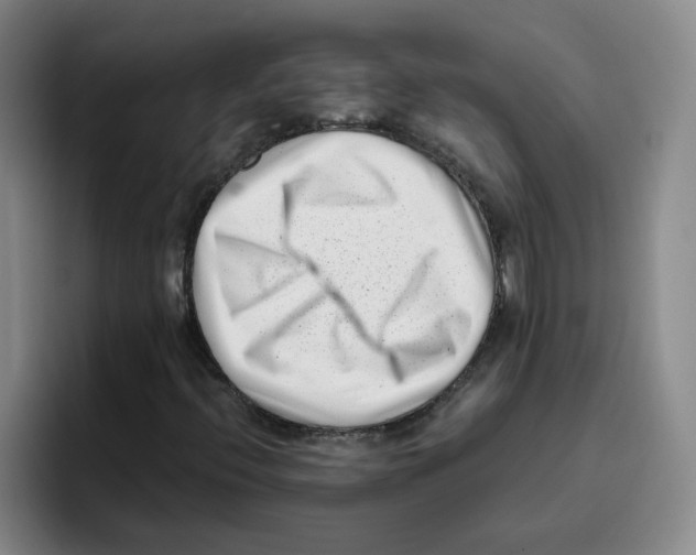 X0000096161396200802151405