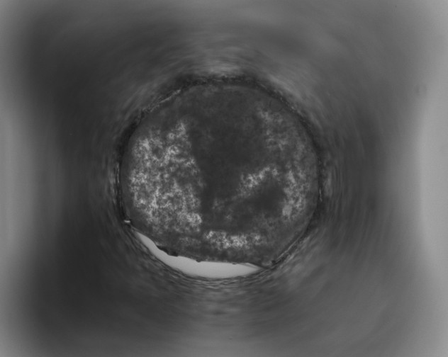 X0000096161397200802151405