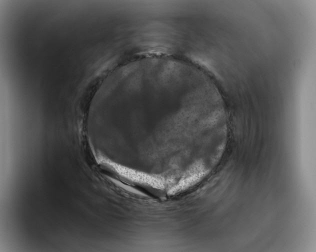 X0000096161399200802151405