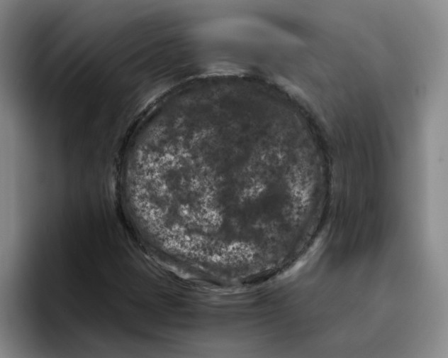 X0000096161401200802151405