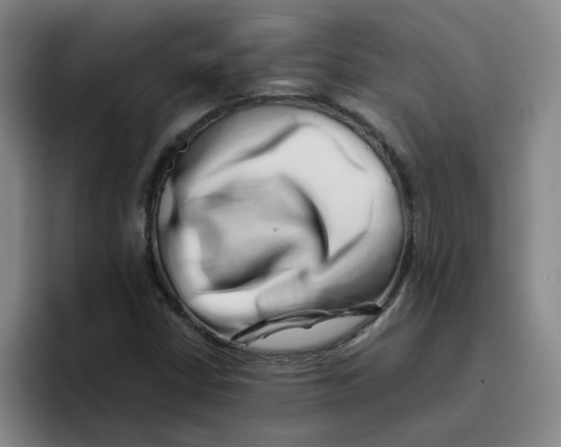 X0000096161402200802151405