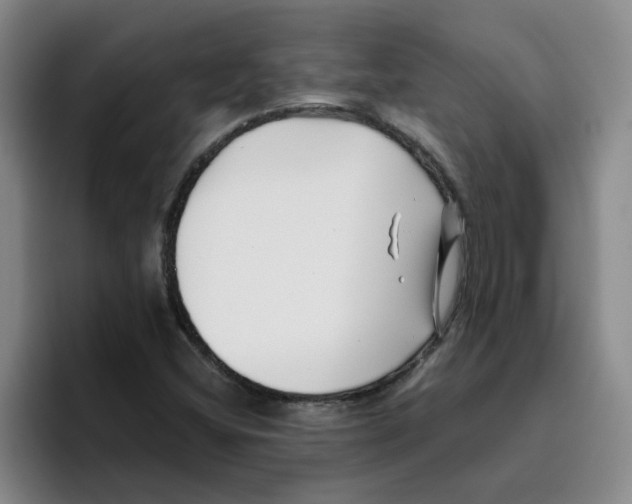 X0000096161404200802151405