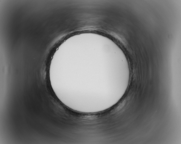 X0000096161406200802151405