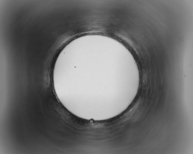 X0000096161407200802151405