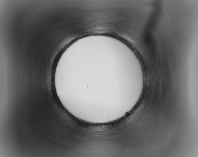 X0000096161410200802151405