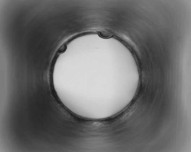 X0000096161412200802151405