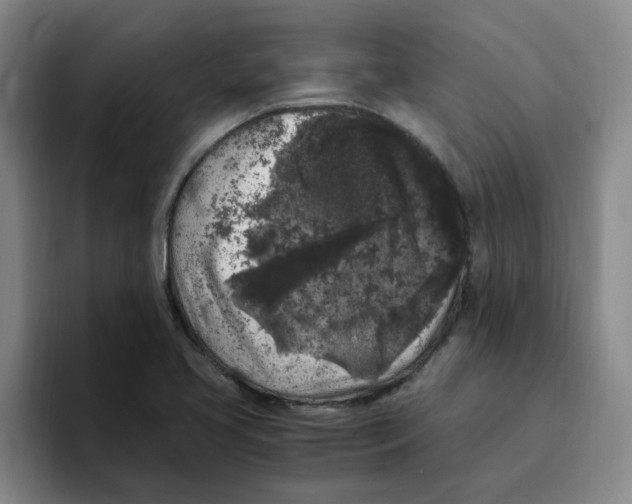 X0000096161413200802151405