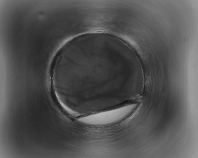 X0000096161414200802151405