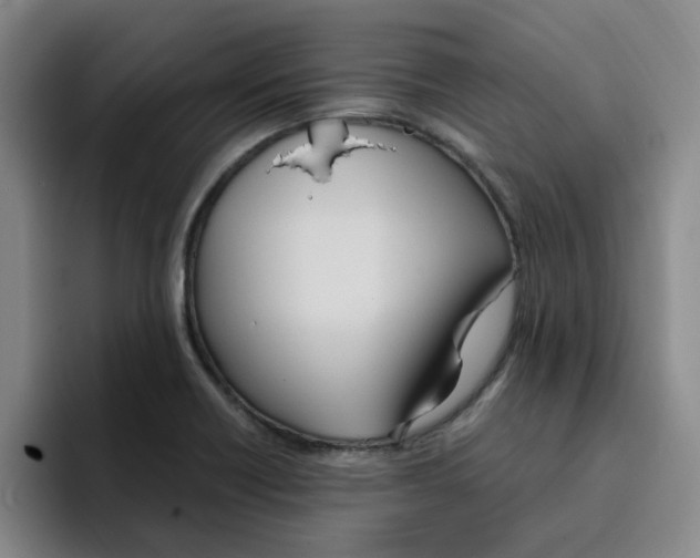 X0000096161418200802151405