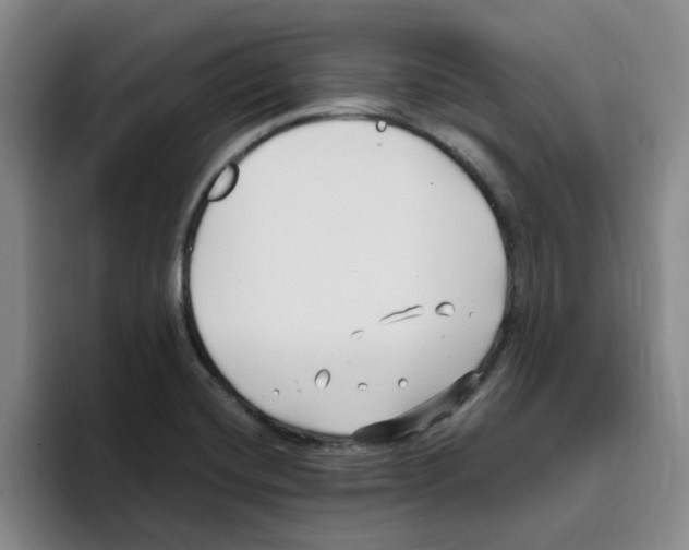 X0000096161420200802151405