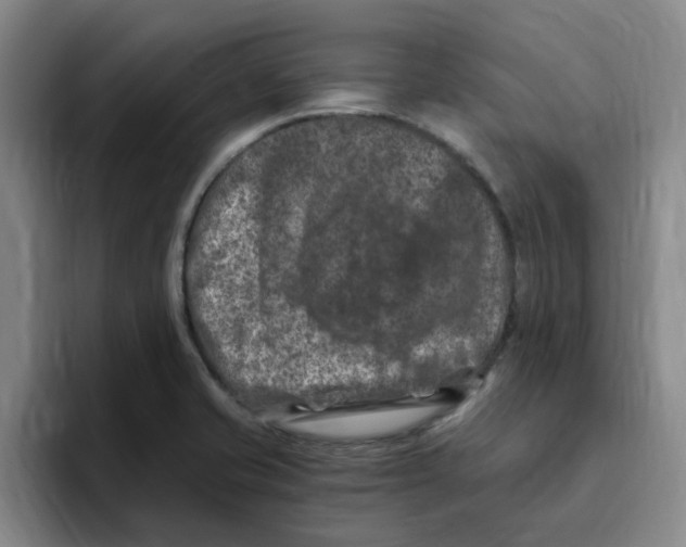 X0000096161421200802151405