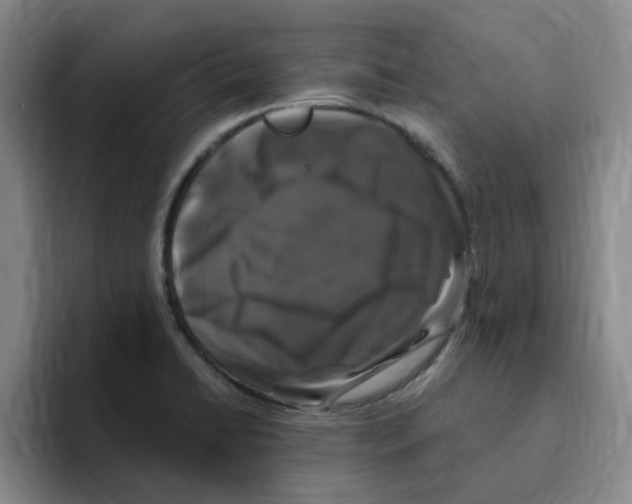 X0000096161422200802151405