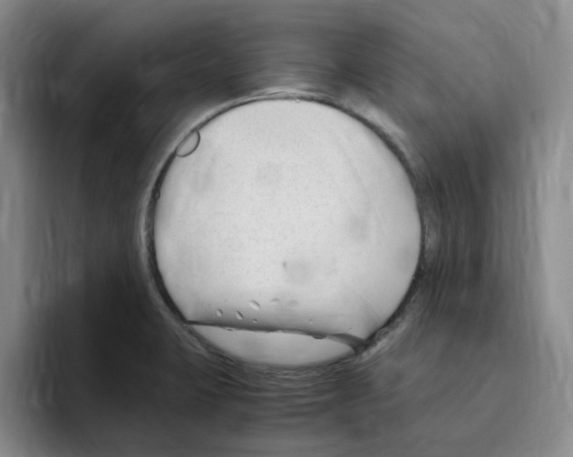 X0000096161423200802151405