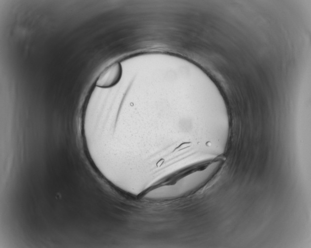 X0000096161424200802151405