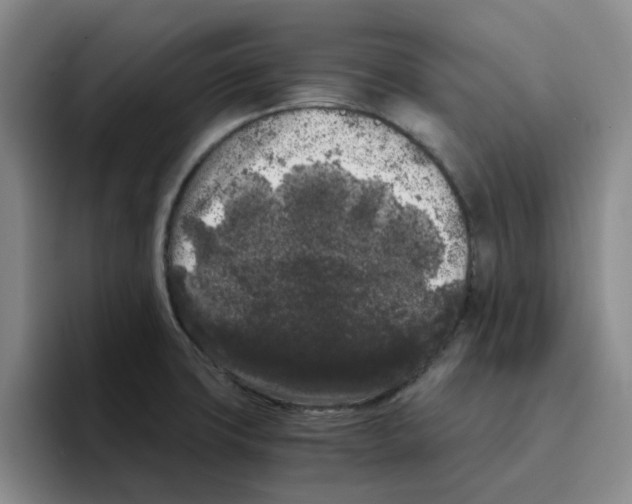 X0000096161427200802151405