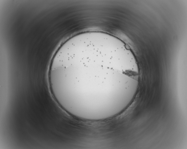 X0000096161428200802151405