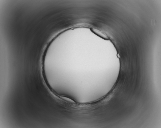 X0000096161430200802151405