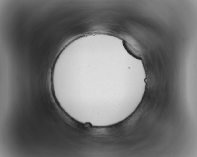 X0000096161431200802151406