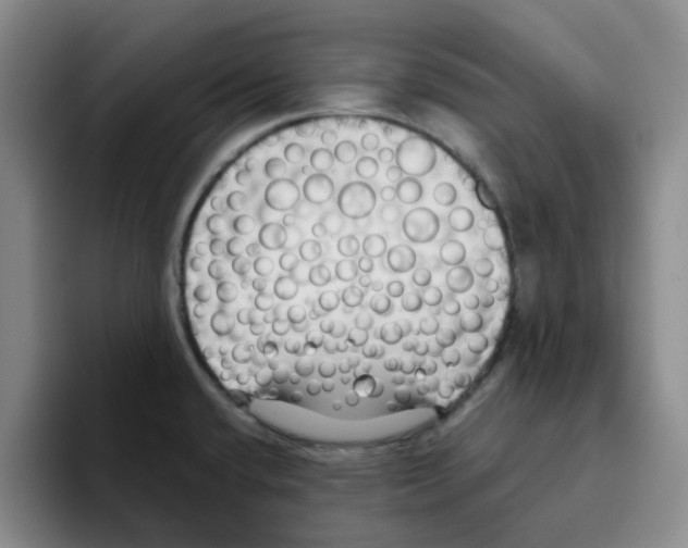 X0000096161432200802151406