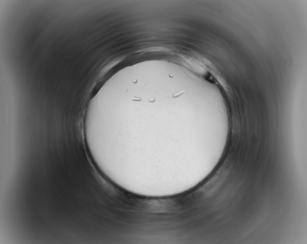 X0000096161433200802151406