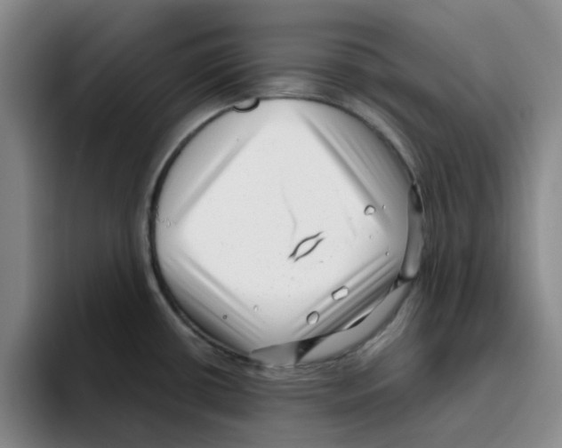 X0000096161434200802151406