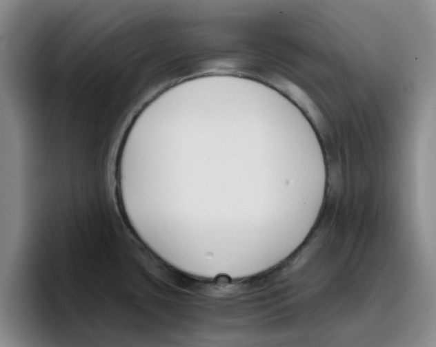 X0000096161435200802151406