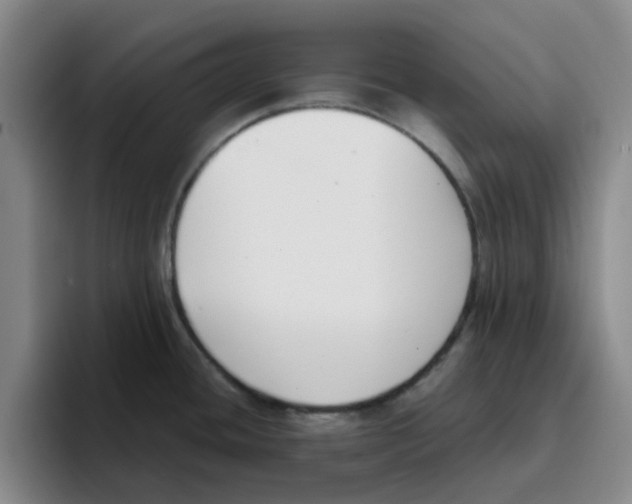 X0000096161436200802151406