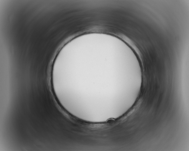 X0000096161437200802151406