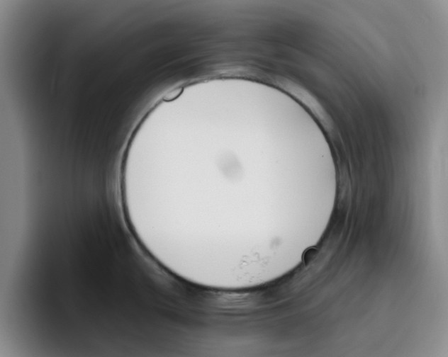 X0000096161439200802151406