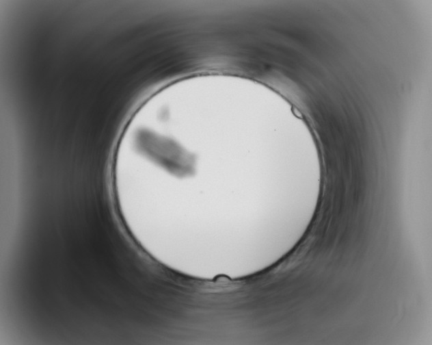 X0000096161440200802151406