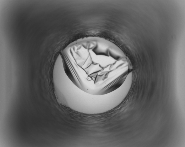 X0000096161441200802151405