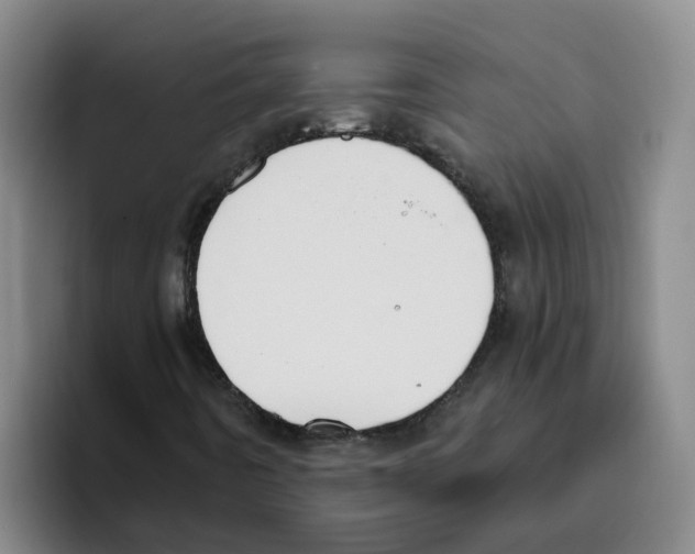 X0000096161442200802151405