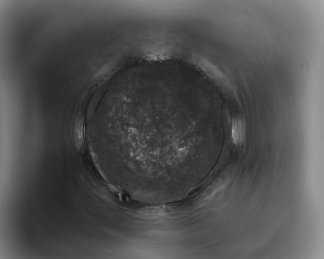 X0000096161444200802151405